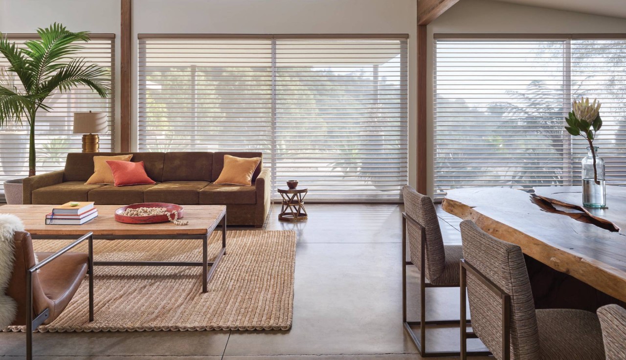 Hunter Douglas Silhouette® Sheer Shades near Flower Mound, Texas (TX)